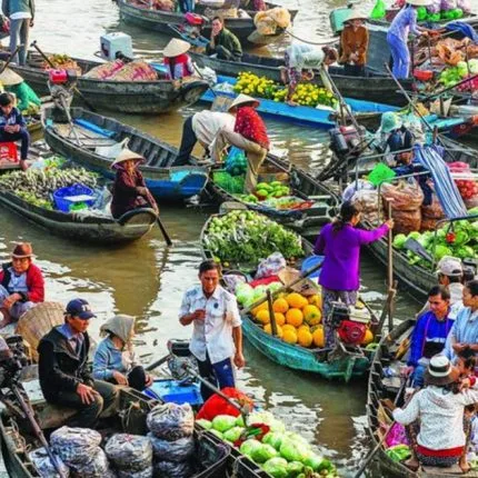 Private Cai Be Floating Market One Day Tour from Ho Chi Minh